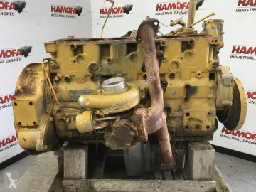 Caterpillar242