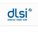 Groupe Dlsi Interim