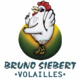 Bruno Siebert
