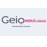Ge Pour L'insertion Et La Qualification