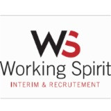 Working Spirit