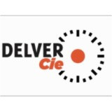Delver Companie