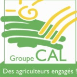 Humaines Direction Des Ressources