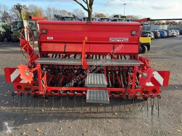 Maschio