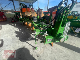 Amazone