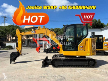 Caterpillar306