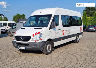 Mercedes minibus