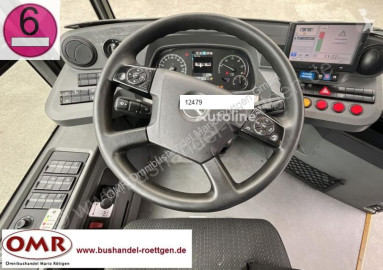 MercedesCitaro