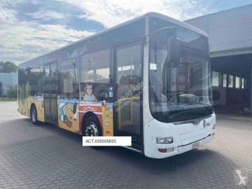 Autobussen interlokaal / stedelijk MAN