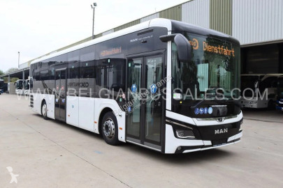 Midibus MAN