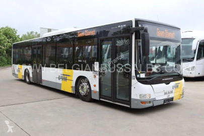 Midibus MAN