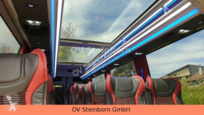 Midibus Mercedes 519 Glasdach Lord Exclusiv XXL 20 SS Stock