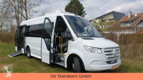 Autobus de ligne Mercedes Sprinter 516 Heckniederflur Vorlauffarzeug