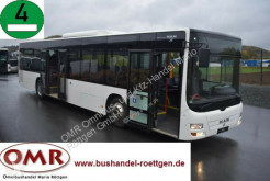 Autobús MAN A 20 / Lion`s City / 530 / Klima de línea usado