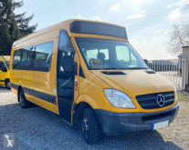 Minibús Mercedes Sprinter 513 LINEO EXCELIO