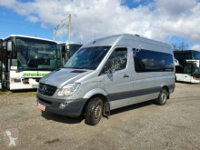 Minibuss Mercedes Sprinter Sprinter 316 CDI Pucher Aufbau 14 Sitze Klima