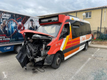 Minibus Mercedes Sprinter 513