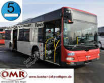 Pullman MAN Lion's City A 37 Lion´s City/A20/A21/530/Citaro/EEV urbano usato