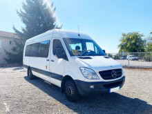 Minibus Mercedes Sprinter 516