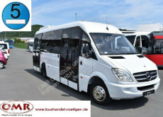 Midibus Mercedes Sprinter 516 CDI Sprinter/komplett saniert/Crafter