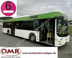 Autobus MAN A 21 / A20 / Citaro / Lion`s City / Euro 6 tweedehands lijndienst