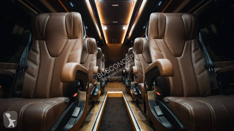 Autobuz Mercedes 519 11+1+1 VIP