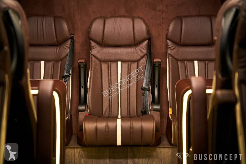 Autobuz Mercedes 519 VIP 11+1+1