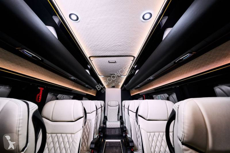 Buss Mercedes 519 VIP 11+1+1
