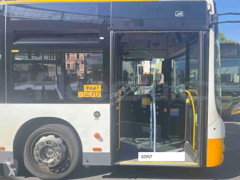 MAN  bus