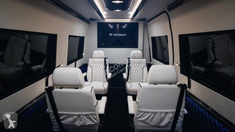 Autobus Mercedes 319 L3H2 4 VIP + 2