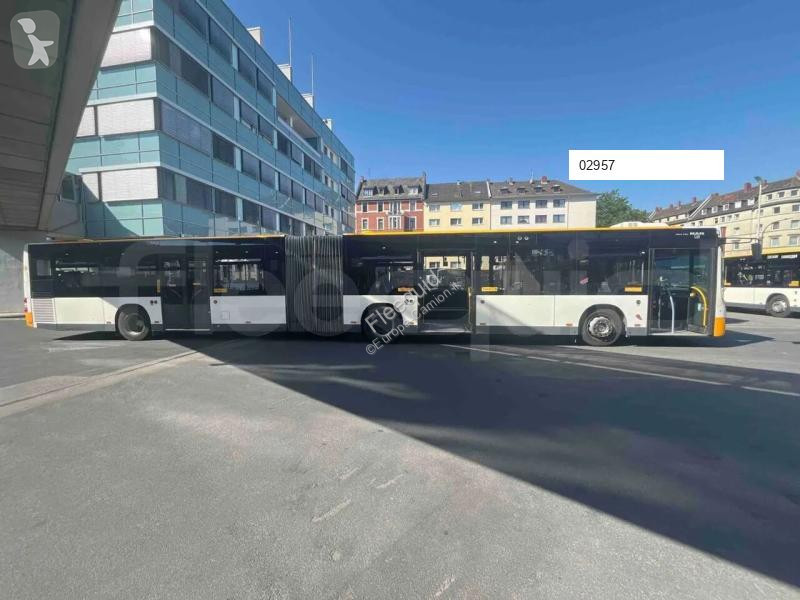 MAN  bus