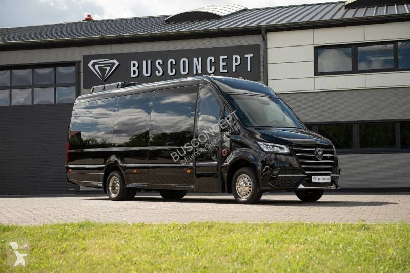 Autobuz Mercedes 519 cdi VIP 15