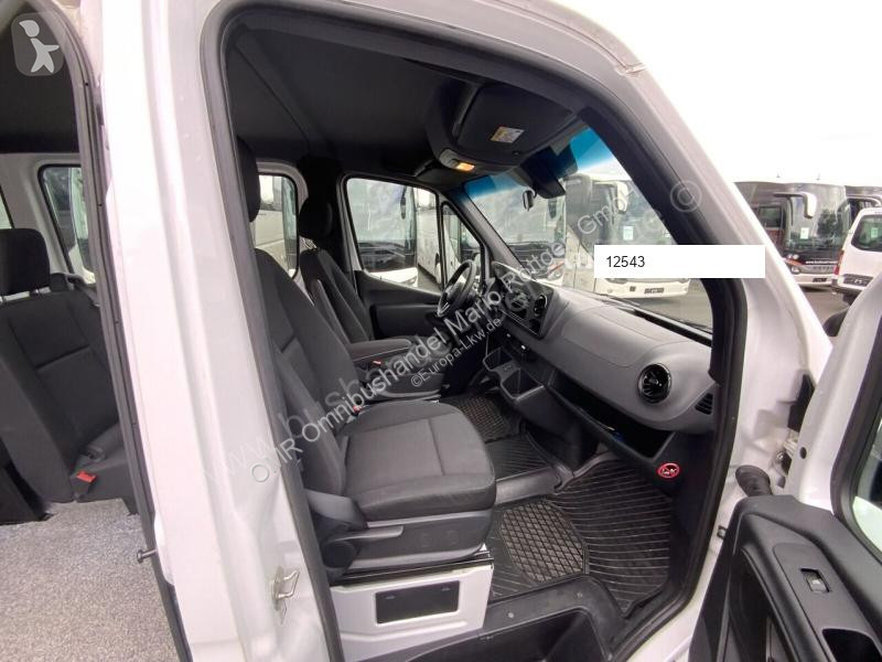 Лекотоварен автомобил Mercedes 315 CDI