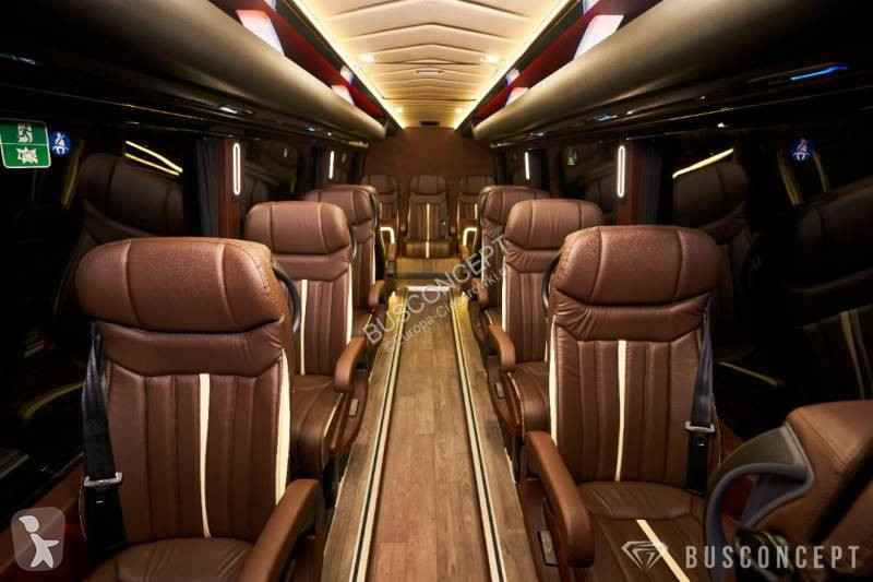 Autobuz Mercedes 519 VIP 11+1+1