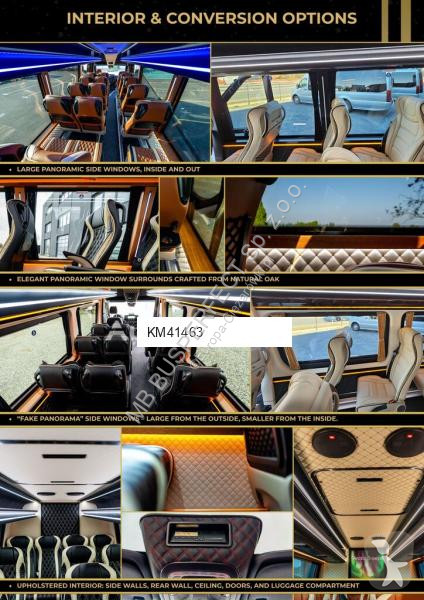 Véhicule utilitaire Mercedes 519CDI - MB...