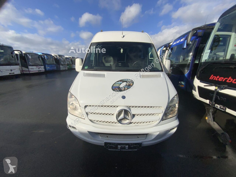 Buss Mercedes 519 CDI