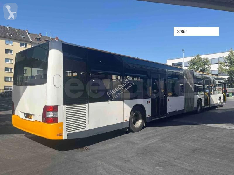 MAN  bus