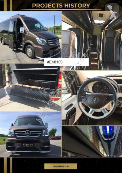 Véhicule utilitaire Mercedes 519 CDI – MB...