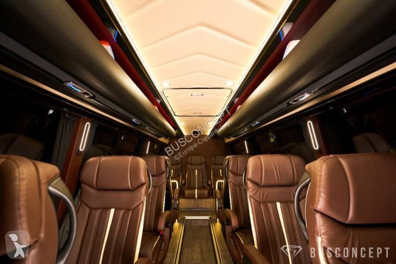Autobuz Mercedes 519 VIP 11+1+1