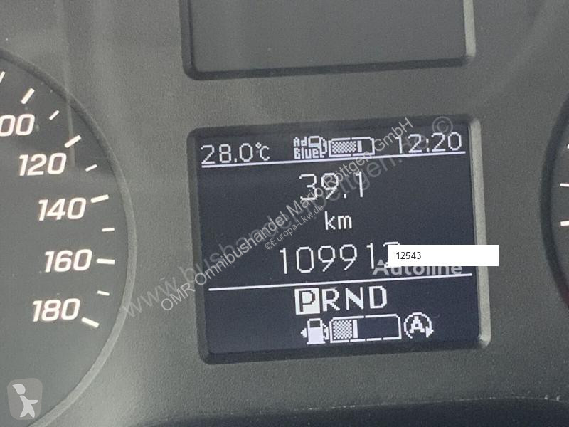 Лекотоварен автомобил Mercedes 315 CDI
