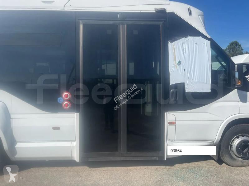 Iveco  bus