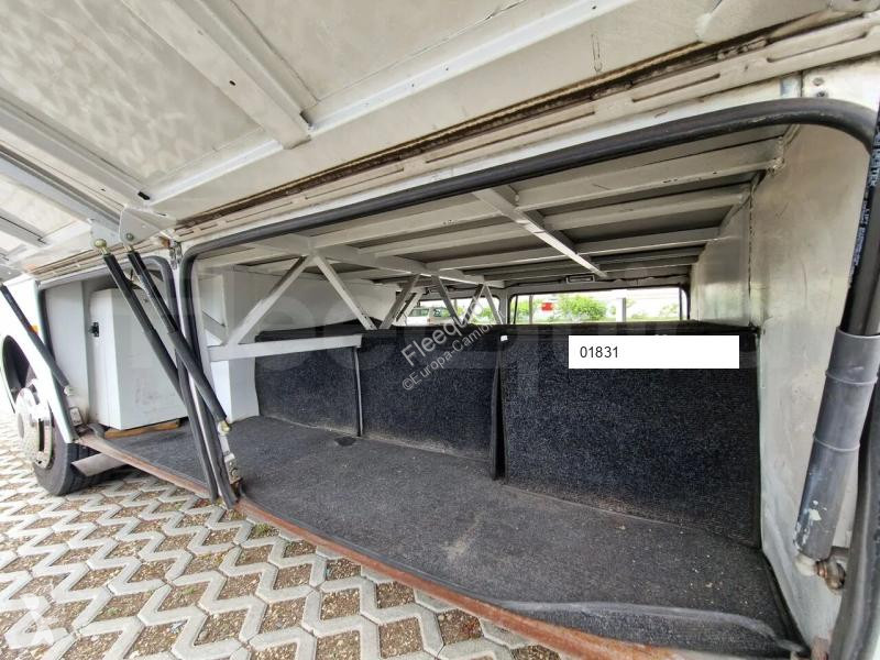 Isuzu Novo bus