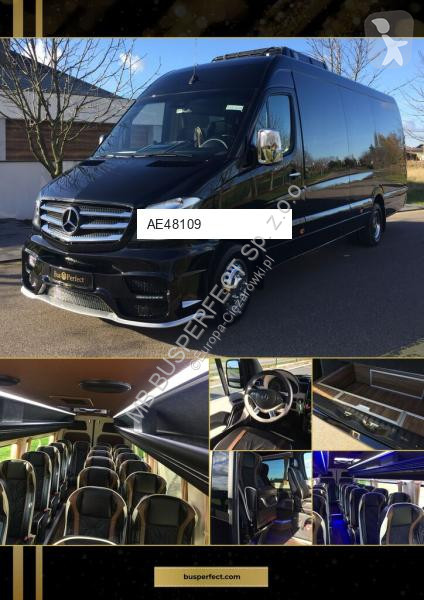 Véhicule utilitaire Mercedes 519 CDI – MB...