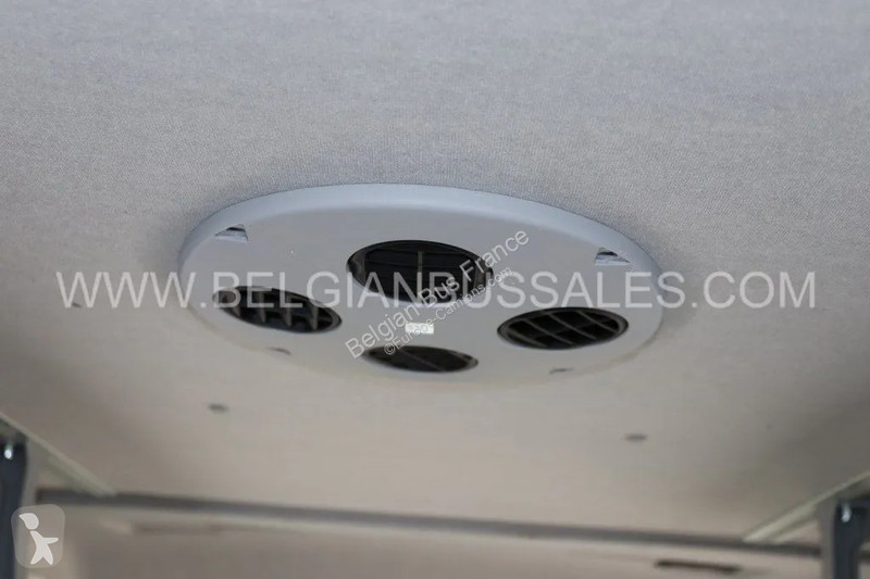 باص Iveco Line New / 10 X UNITS / 65C18H8 4100L...