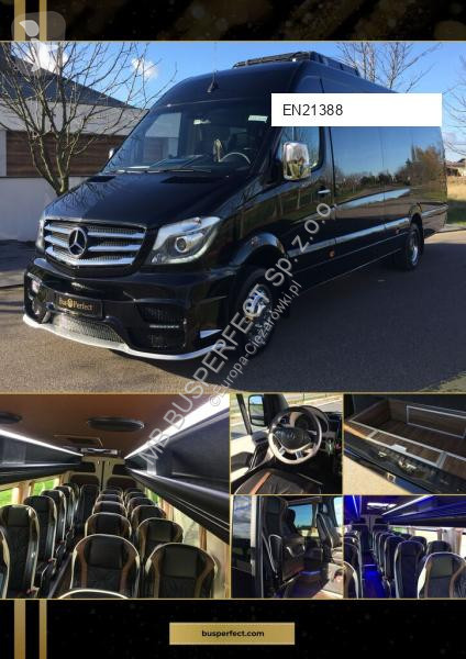 Véhicule utilitaire Mercedes 519 CDI – MB...