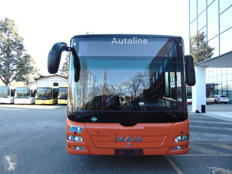 Camioneta MAN