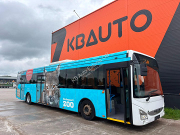 Midibus Iveco