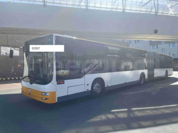 MAN Lion's City bus