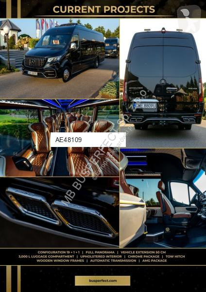 Véhicule utilitaire Mercedes 519 CDI – MB...