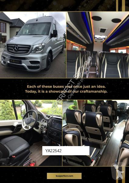 Véhicule utilitaire Mercedes 519 CDI – MB...